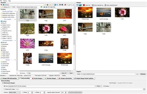 3delite Duplicate MP4 Video